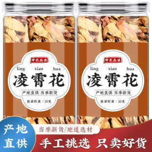 ��������ș���`�������}�����в�ș�Ĵ�ȫ��צ����ˮɏ���l���l