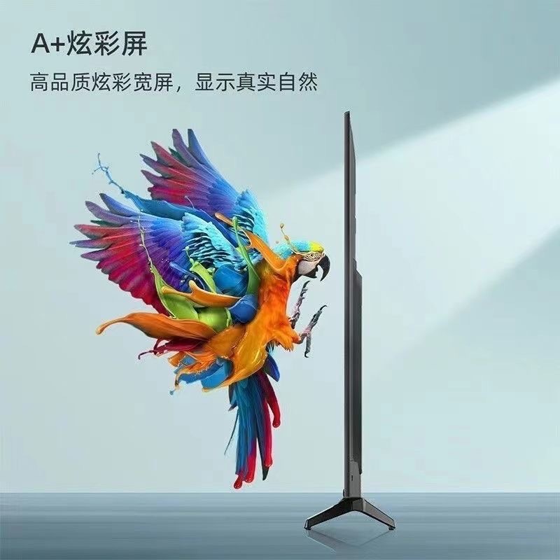 e858d2ca-4d65-496a-9d8d-a123579f824c.jpe