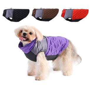 �ﶬ���ƴɫ���ױ���̩�ό��ﱣů�R�׿羳�ɠ�����С��Ȯ���b