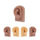 Liquid Soft Silicone Simulated Human Ear Ear Model Tattoo Piercing Piercing Ear Hole Practice Jewelry Display Stand