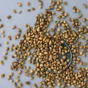 �������ݷN�ӻ���ݷN�� �G���������ݷN�� ���������S��ݷN��