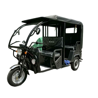 Tricycles for Scenic Areas, Sərnişin üçtəkərli motosikllar