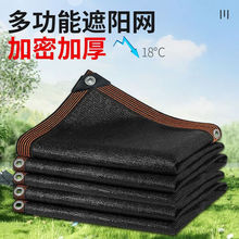 ��ꖾW�Ӻ���ܷ���W��ꎾW̫ꖸ���ھWͥԺ�����ڹ������ꖲ�