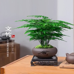��������ֲ���҃Ȼ��ܶU��΢�辰�k�����愓������С�Gֲ�͏d��ʽ