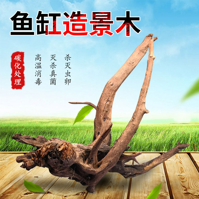 Fish tank landscaping decoration Sunwood landscaping Wood natural Streamwood rhododendron root teak root grass tank selection Sunwood moose tree Fish tank landscaping decoration Sunwood landscaping Wood natural Streamwood rhododendron root teak root grass tank selection Sunwood moose tree