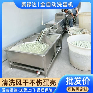 鸭蛋清洗流水线 大型蛋品工厂洗蛋设备 鲜鸭蛋咸鸭蛋清洗设备