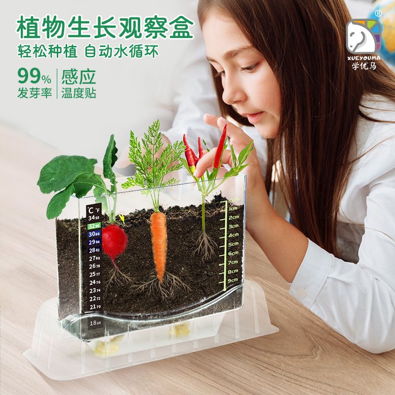 学优马植物生长根系种植观察盒幼儿园儿童科学实验手工DIY种子包|ru