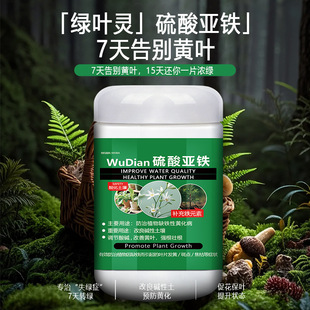 ���၆�F������ϲ��ֲ��d�ӻ��軨��ˮ�ܷʷ��S�~���÷��_��