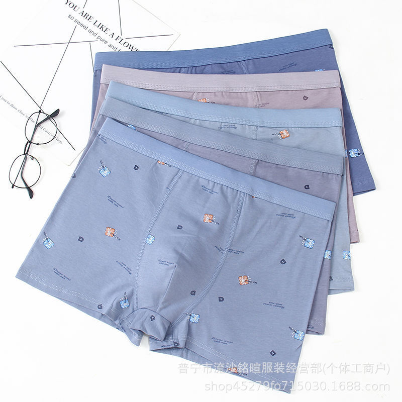 New Men's Boxers Panties High Quality 3D Edition Printed RC Cotton Comfortable Breathable Teenager Boxers