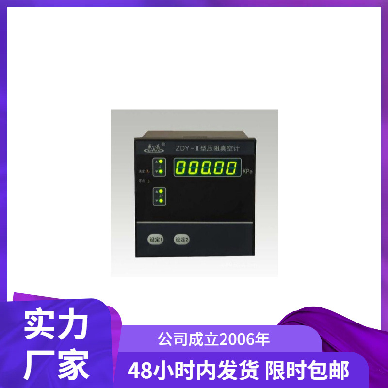 ZDY-II双路压阻真空计