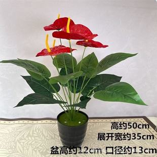 �S�����l18�^�t���~5��3d��ӡ�ٻ�����Gֲֲ���Ļ�c�b�