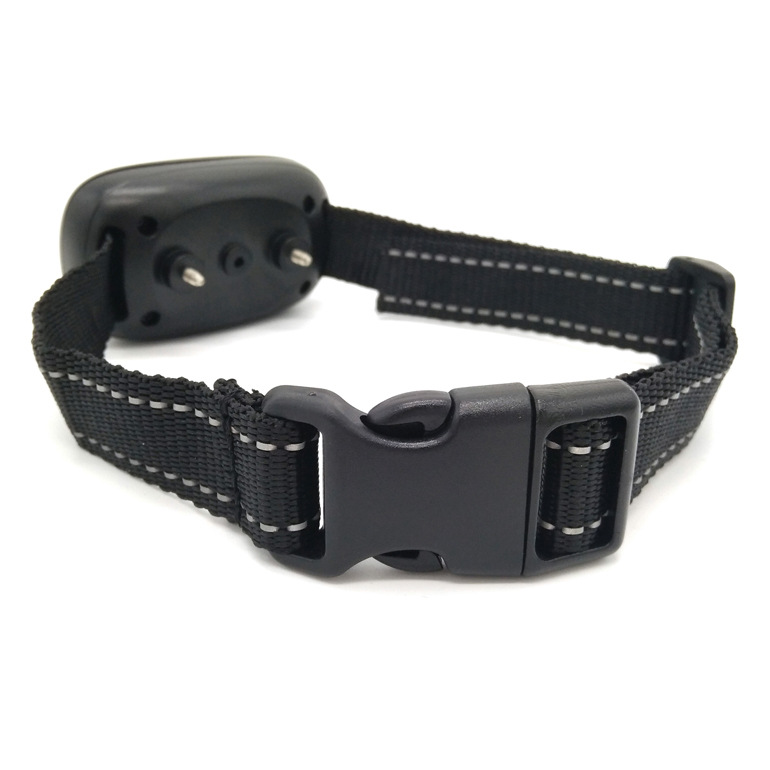 shock collar3.jpg