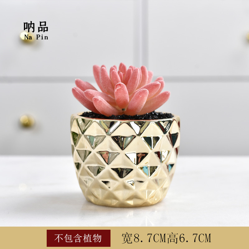Maceta suculenta de cerámica con baño dorado, estilo fruta