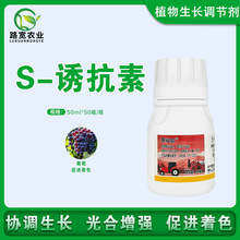 ������������10%�տ��ط������Ѵٽ���ɫ��������ֲ���������ڼ�