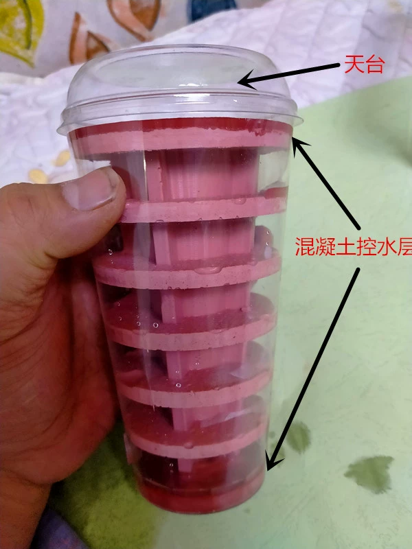 Муравьиное гнездо Большой муравьиный замок Гипсовая чашка Гнездо Ant Paradise Подходит для всех муравьев с гигантской головой.