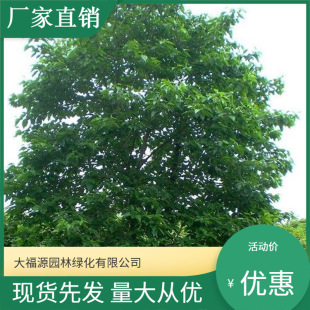 ����ֱ�N  ϲ����  �������Nֲ�� �N�硣�N��Ҏ���Rȫ ����ă�