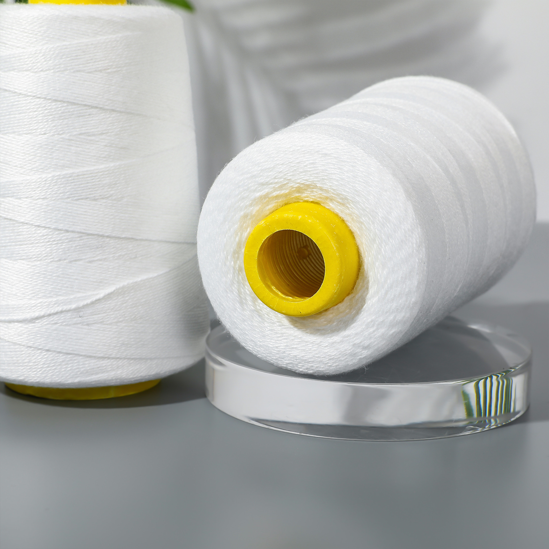 흰색 * C (215g) 3 주