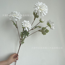 ¿滨6^  cYܛbb Qڽ