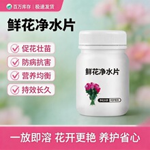 鲜花保鲜净水片水培植物专用净水片富贵竹碗莲保鲜花卉净水剂批发