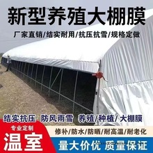 �ڰ�Ĥ���ϲ��Ӻ�����B�u���Bֳ������ꖷ���N�����ϲ��������w