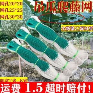 �Nֲ�W�����S�ϒ�W���W��������W�K�߲��r�������L�B�J����