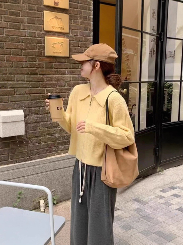 法式黄色翻领长袖毛衣外套女2025早秋新款双拉链设计针织开衫上衣|undefined
