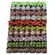 q fleshy plants mixed whole box wholesale color LCL with basin delivery stall DIY fleshy flowers hand gifts