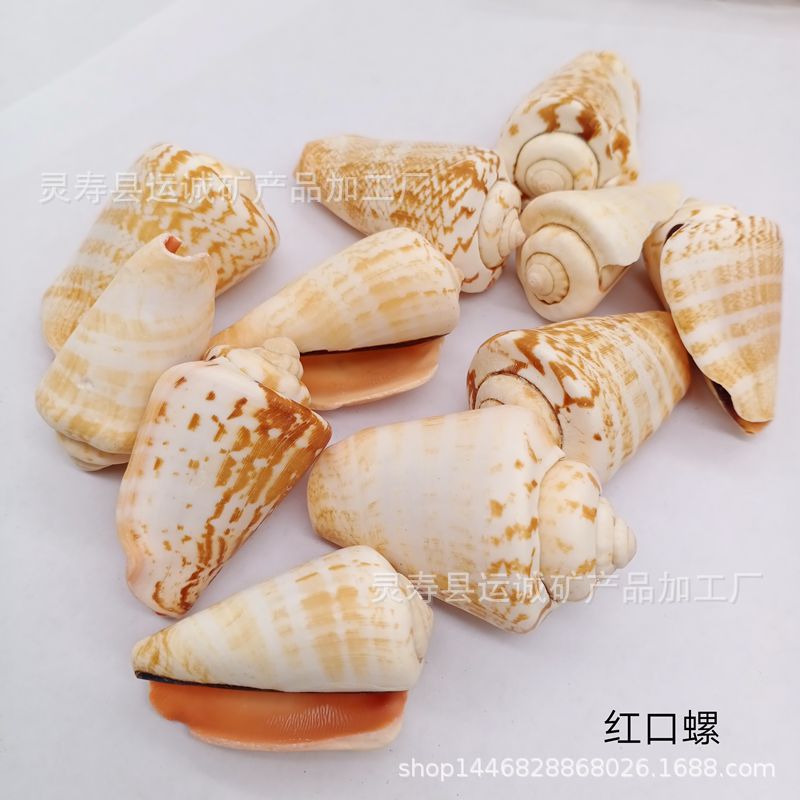 IMG_20210903_145127_副本