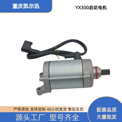 Motorcycle Engine Starter Motor Suitable for Yx300 and Yinxiang 300, Starter Motor Available in Stock (Starter and accessories)