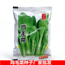 ���ߴ�9-12cm���m���S��ֱ�N�߲˷N��С����uë���ѷN���N�N��