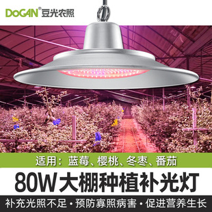 80W大棚植物光照灯LED全光谱蓝莓樱桃冬枣西红柿专用生长补光灯-阿里巴巴