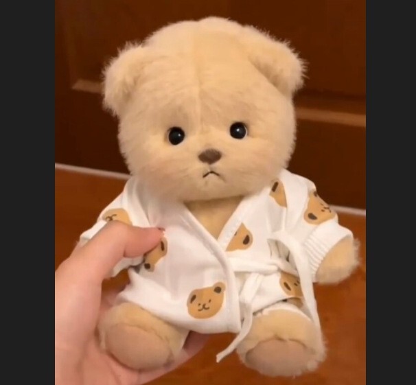 仅售衣服】中号莉娜关节熊毛绒公仔玩偶着替30cm泰迪熊连体服|undefined