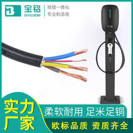 欧标充电枪线缆 3*6.0+1*0.5欧标耐磨新能源电动汽车充电桩电缆厂