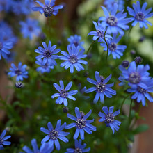 �޸��M���շN���{�������خ��~�{�r�ջ��N���Ӵ��ﲥ�ļ��̨ͥԺ