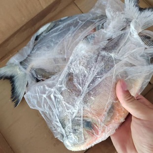 ���r�t�K�~ �r���ك����K�~ �������K�~ƽ�~�R�~