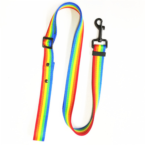 Pet Supplies New Rainbow Pet Leash Multi-functional Colorful Pet Car Safety Belt Set Manufacturer