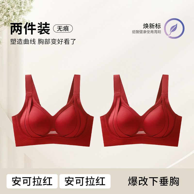 앙콜라 레드 앙콜라 레드