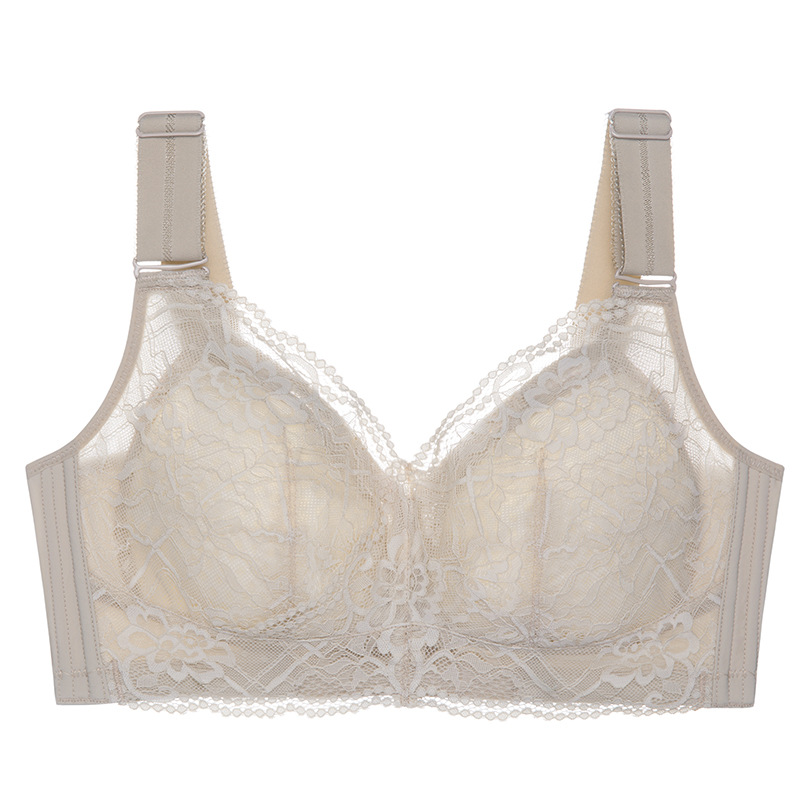 AYL806 color champán