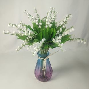 2���L��m�� �ֹ����ϵ�ᘝM���ǻ�c�b�Ʒ���Է��滨���l޹�²�