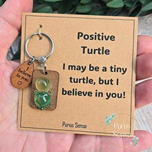 ľ��耳׿ۼ���Positive Turtleˮ��ľ��͸�������������耳׿�
