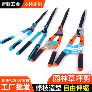 �@ˇ��ƺ��֦�����@�@���L������������s��֦���h�ʾG�h�޼���ľ