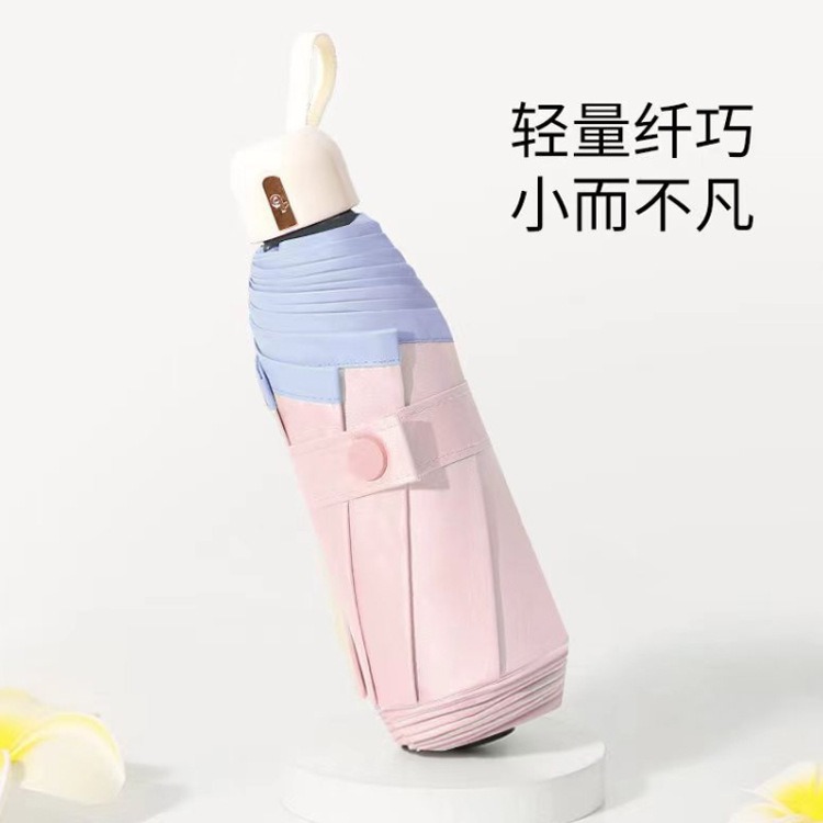 5 배 컬러 접착제-보라색 분말