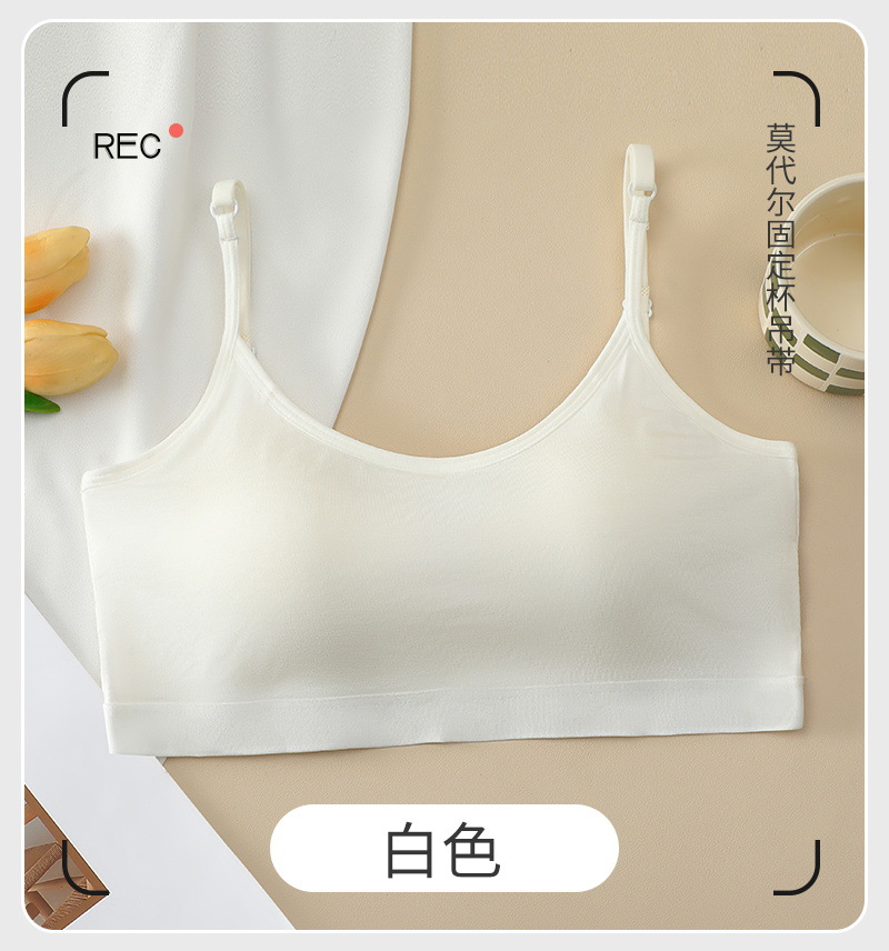 화이트