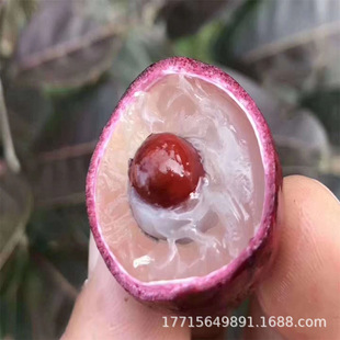 �V�����ۘ��m�޽ӹ�����A����ʯ�������ļ��ێ������~���Ԏ���