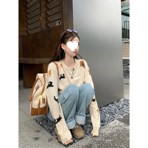 Design sense fashionable cute dog floral contrasting color long sleeve knit sweater for women loose matchy-matchy top trendy