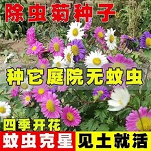 xշNСrջN̨҃òݻܷNݷNֲļN_