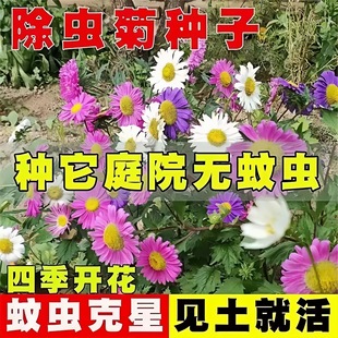 xշNСrջN̨҃òݻܷNݷNֲļN_