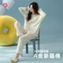 秋季抗菌女式加大家居服
