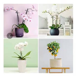 ֲ�������֧���Fˇ������m֧�ΗU�@ˇ�̶������ٻ�����피t����