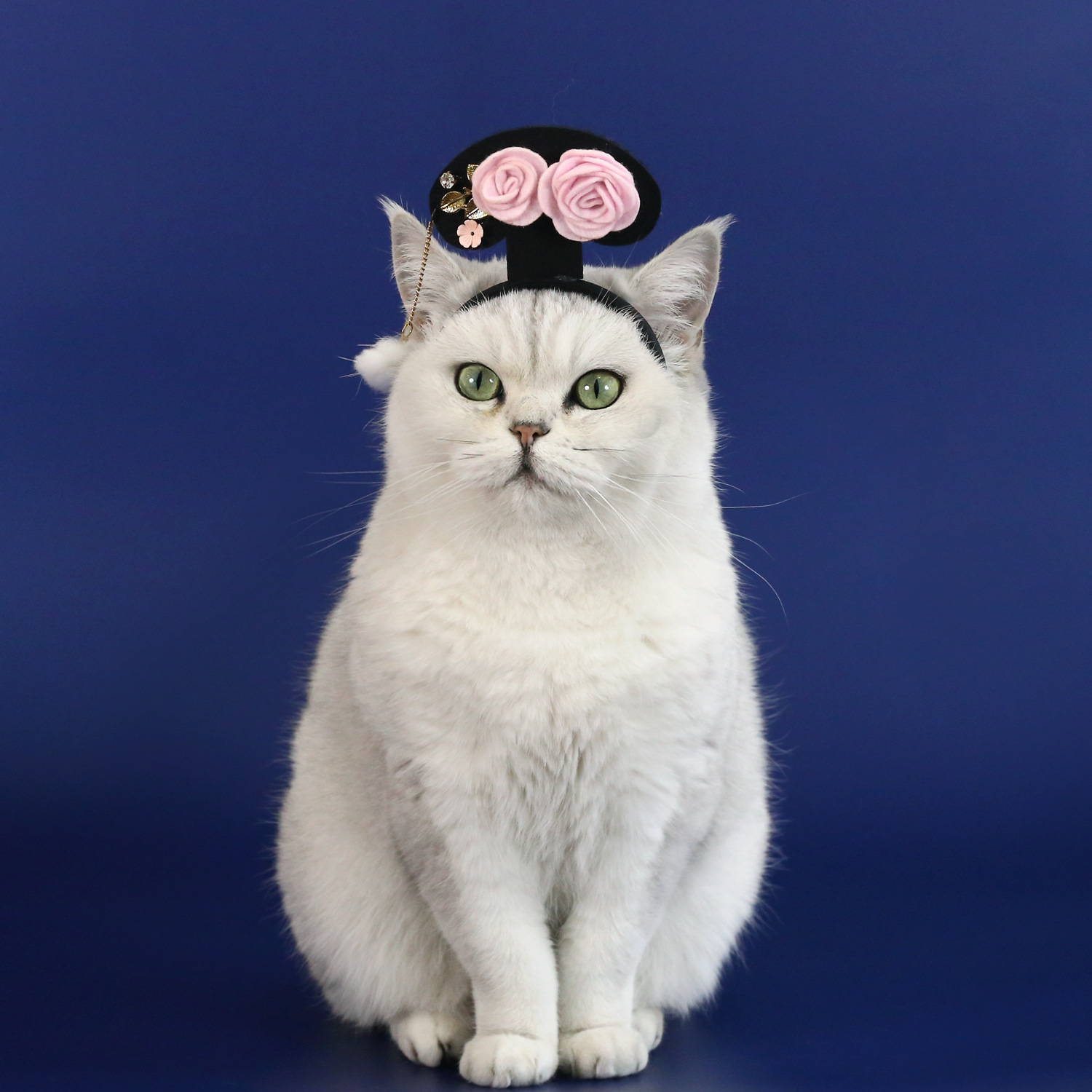 Mascotas Año Nuevo chino flores de viento lanza cabeza gatito Teddy cachorro y estilo tocado de vacaciones de primavera bandeja de pelo image 5